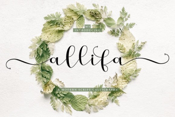 Allifa: The Elegant Script for Modern Design